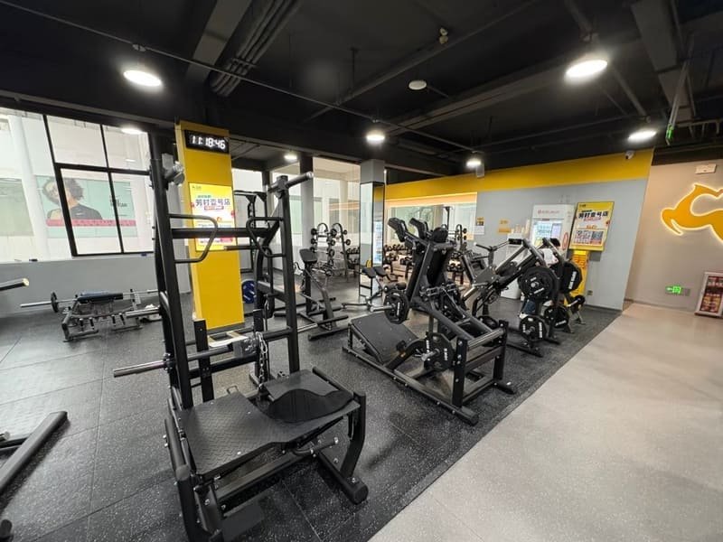 An engineering diagram showing impact force dissipating through a thick rubber gym floor into a concrete subfloor.